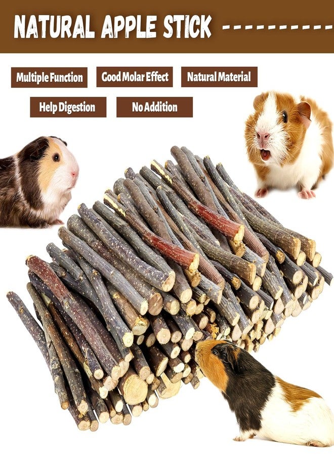 WYOMER 2lb(900g) Small Apple Sticks for Rabbits, Animals Molar Wood Treats Toys for Chinchillas Guinea Pig Hamster Gerbil Parrot Bunny and Small Animals Chew Stick Toys Treats - Image 3